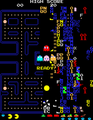 220px-Pac-Man screenshot 256 level.png